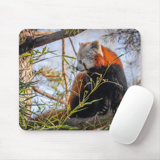 Tapis De Souris Panda rouge (Avec souris)