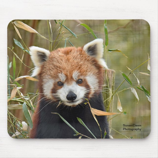 Tapis De Souris Panda rouge (Devant)