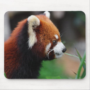 Tapis De Souris Panda rouge