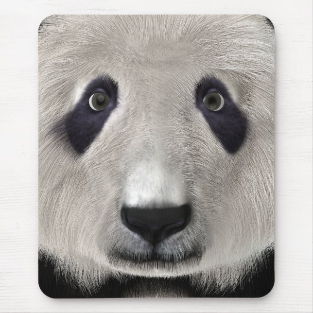 Tapis De Souris Panda roux (Devant)