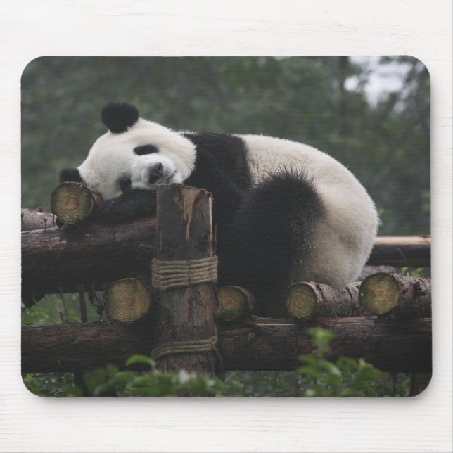 Tapis De Souris Pandas géants au centre de protection des pandas g (Devant)