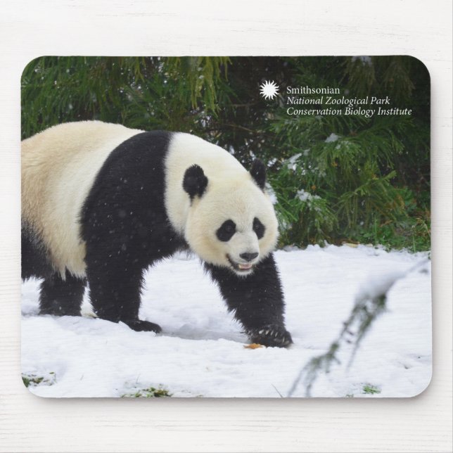 Tapis De Souris Pandas géants de Smithsonien | dans la neige (Devant)