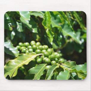 Tapis De Souris Panier à souris Green Coffee Berries
