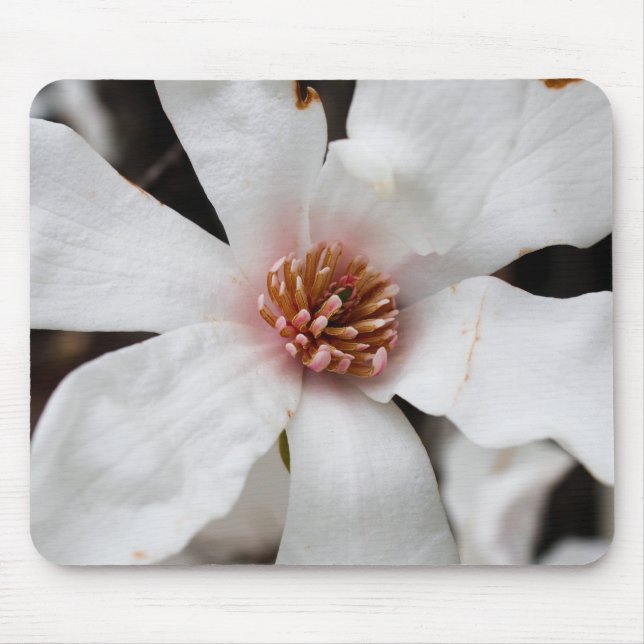 Tapis De Souris Panier à souris Star Magnolia (Devant)