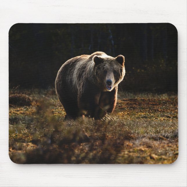 Tapis De Souris Panier de la souris de l'ours (Devant)