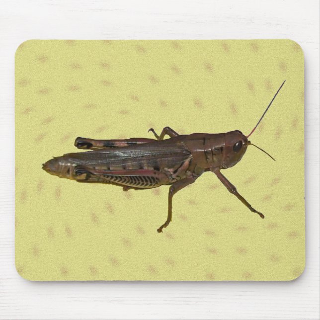 Tapis De Souris Panier de sauterelles (Devant)