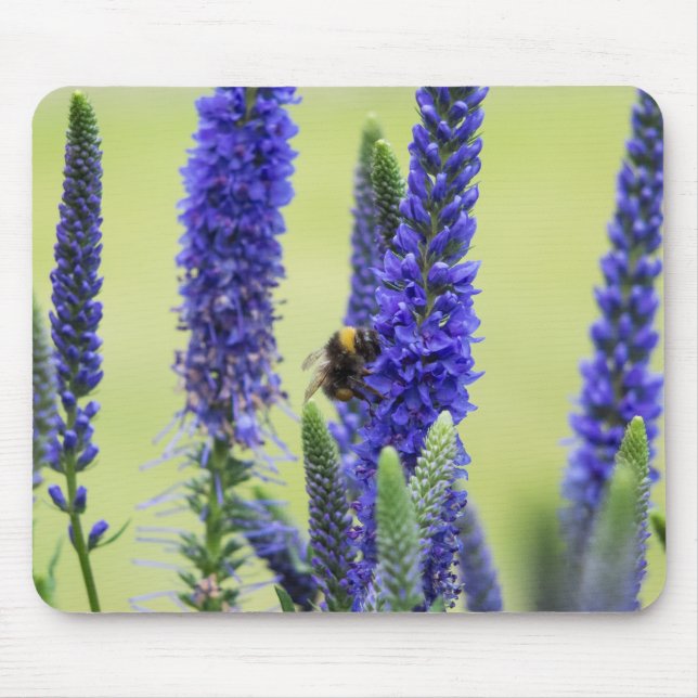 Tapis De Souris Panier de souris (Devant)