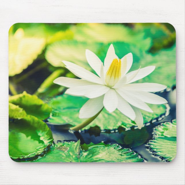 Tapis De Souris Panier de souris (Devant)