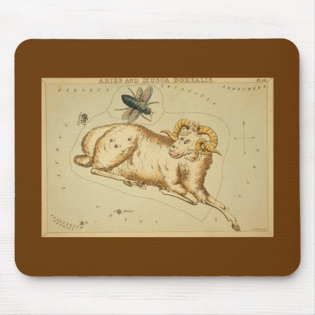 Tapis De Souris Panier de souris Aries (Devant)