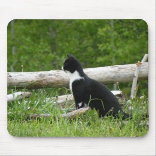 Tapis De Souris Panier de souris de chat de pays