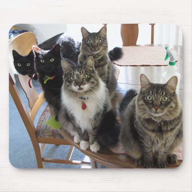 Tapis De Souris Panier de souris de la bande de chat (Devant)