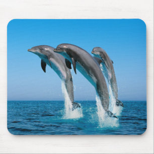 Tapis De Souris Panier de souris Dolphins