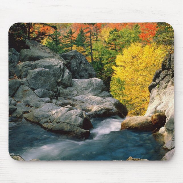 Tapis De Souris Panier de souris Glen Ellis Falls (Devant)