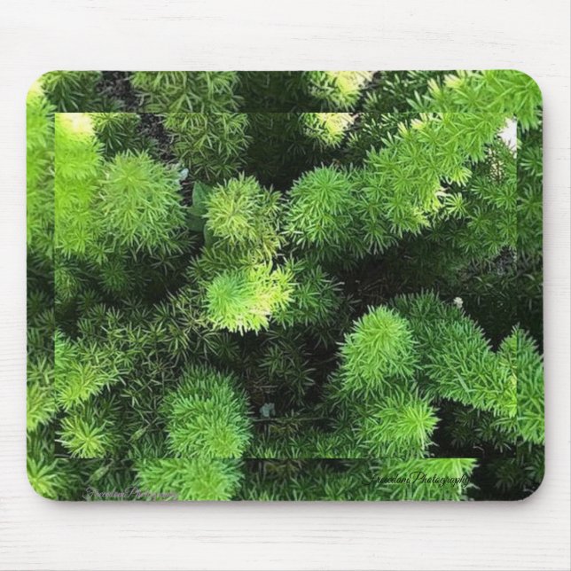 Tapis De Souris Panier de souris Green Fern (Devant)