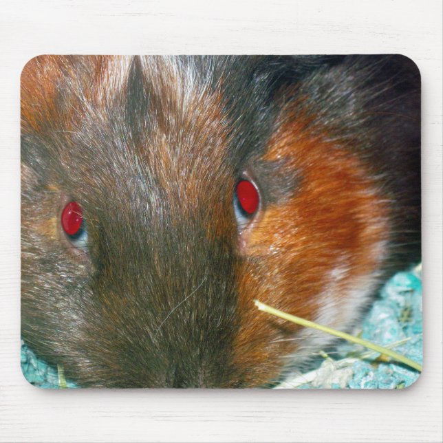 Tapis De Souris Panier de souris Hamster (Devant)