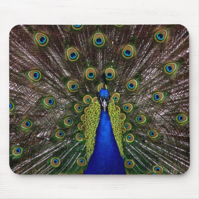 Tapis De Souris Panier de souris Peacock (Devant)
