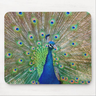 Tapis De Souris Panier de souris Peacock