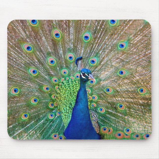 Tapis De Souris Panier de souris Peacock (Devant)