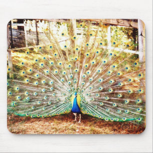 Tapis De Souris Panier de souris Peacock