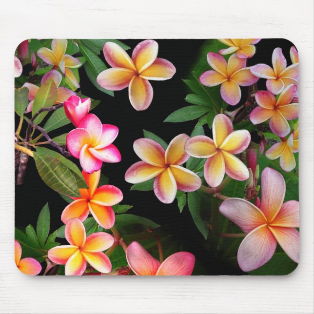 Tapis De Souris Panier de souris Plumeria (Devant)
