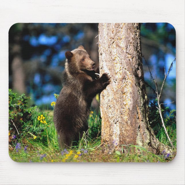 Tapis De Souris Panier de souris pour oursons Grizzly de l'Alaska (Devant)