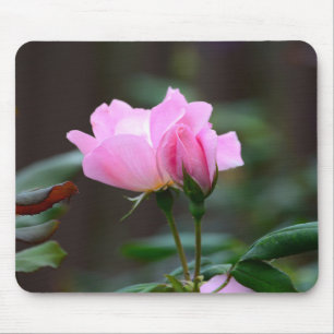 Tapis De Souris Panier de souris Rose de Knockout