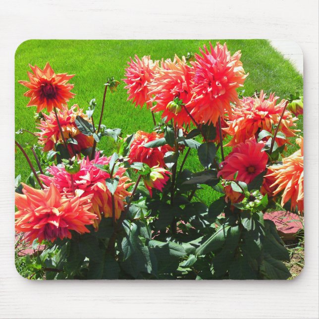 Tapis De Souris Panier de souris rouge orange dhalia (Devant)