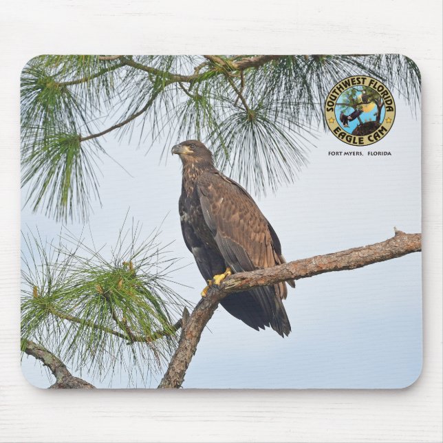 Tapis De Souris Panier de souris SWFL Eagle Cam - E23 (Devant)