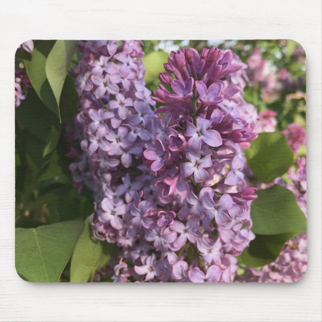 Tapis De Souris Panier de souris violet Lilac (Devant)