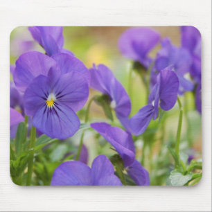 Tapis De Souris Panser Violet Panier