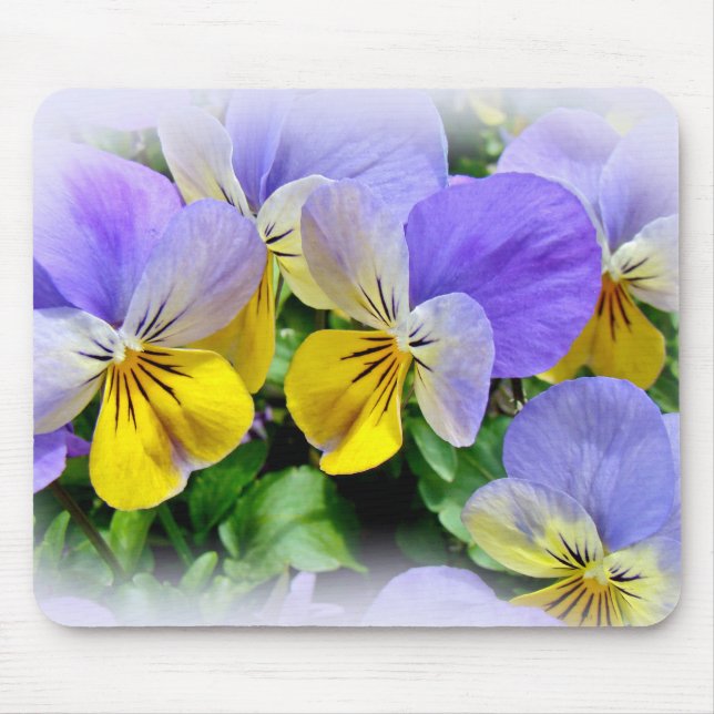 Tapis De Souris Pansies - violet et jaune (Devant)