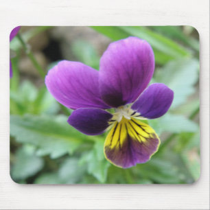 Tapis De Souris Pansy Mousepad