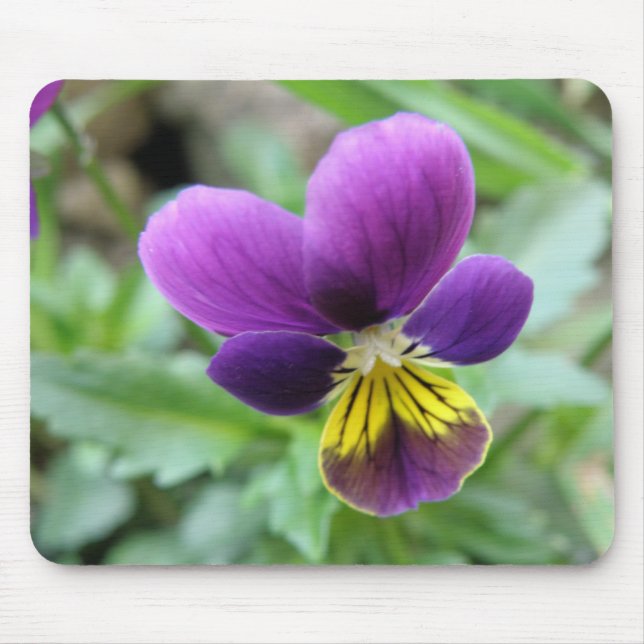 Tapis De Souris Pansy Mousepad (Devant)