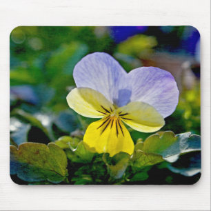 Tapis De Souris Pansy Perfection