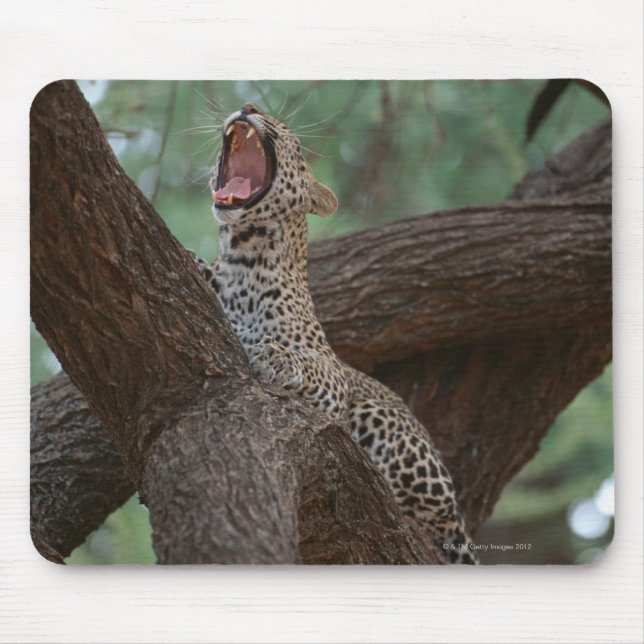 Tapis De Souris Panther (Devant)