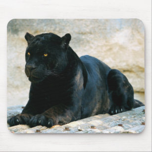 Tapis De Souris Panthere Noire Zazzle Fr Tapis De Souris Panthere Noire Zazzle Fr