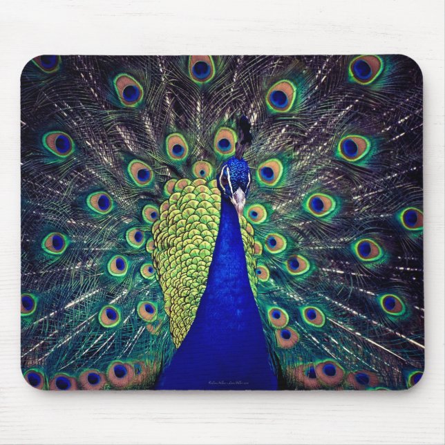 Tapis De Souris Paon bleu cobalt (Devant)