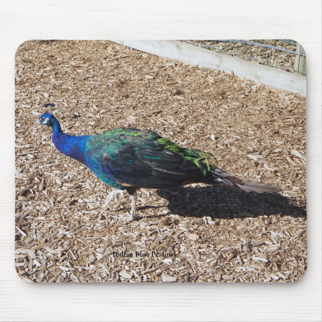 Tapis de souris Paon bleu indien (Devant)