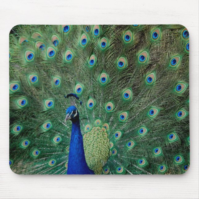 Tapis De Souris Paon, mousepad (Devant)