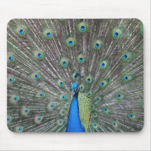 Tapis De Souris Paon Mousepad