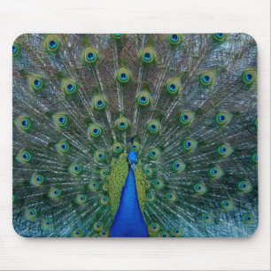 Tapis De Souris Paon, mousepad