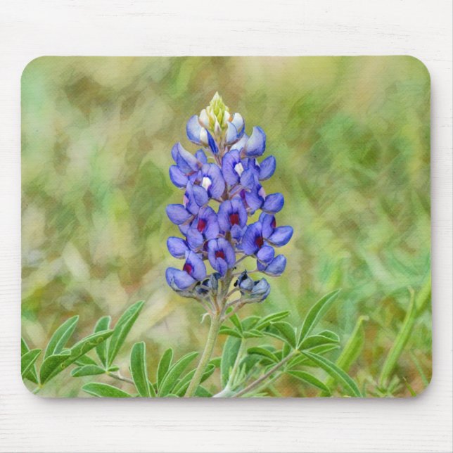 Tapis De Souris Papier à souris Texas Bluebonnet (Devant)