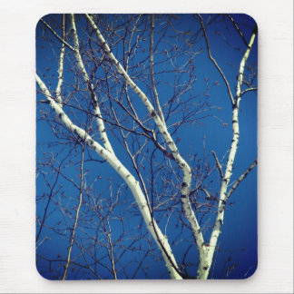 Tapis De Souris Papier blanc Arbre à bouleau Ciel bleu Nature