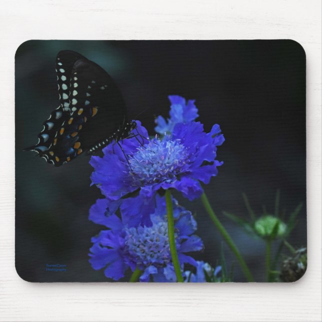Tapis De Souris Papillon (Devant)