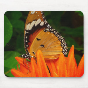 Tapis De Souris Papillon
