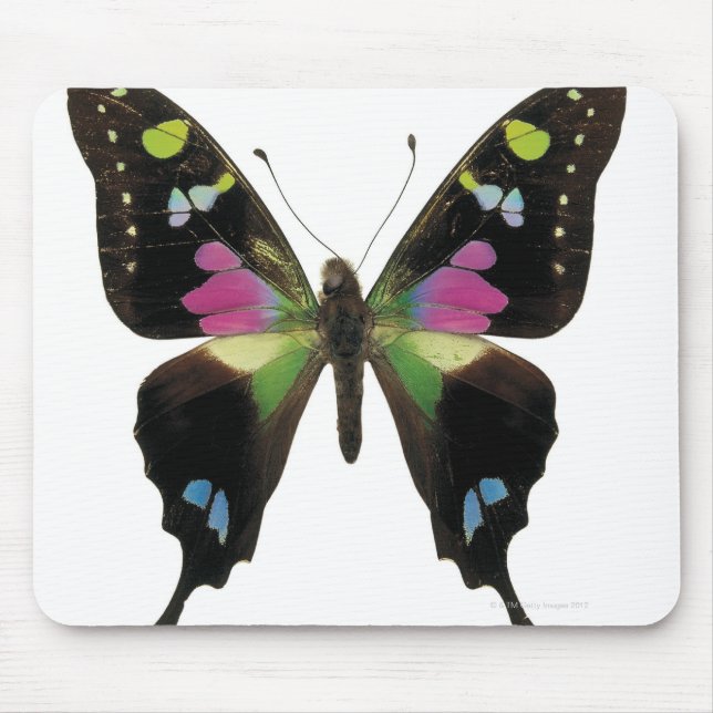 Tapis De Souris Papillon (Devant)