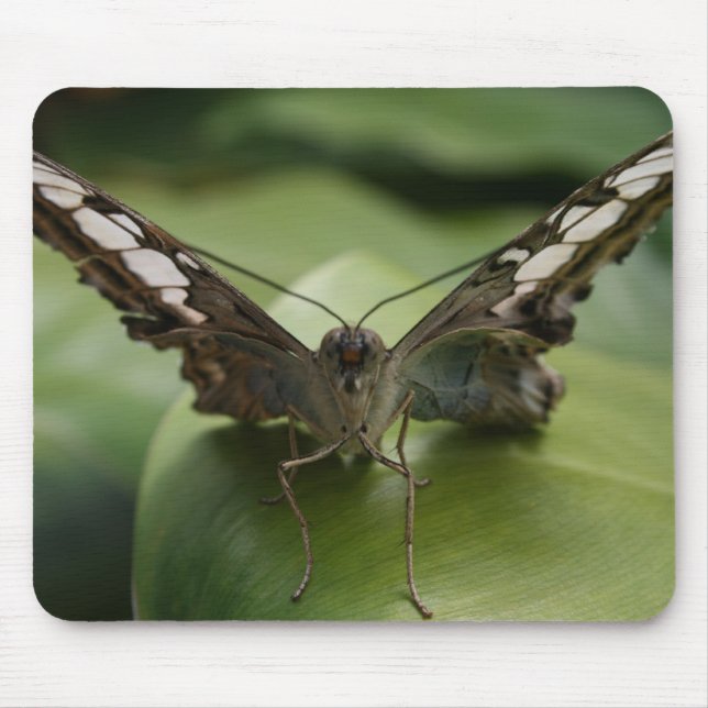 Tapis De Souris Papillon (Devant)