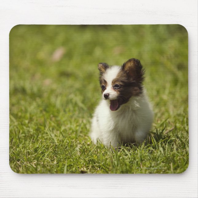 Tapis De Souris Papillon (Devant)