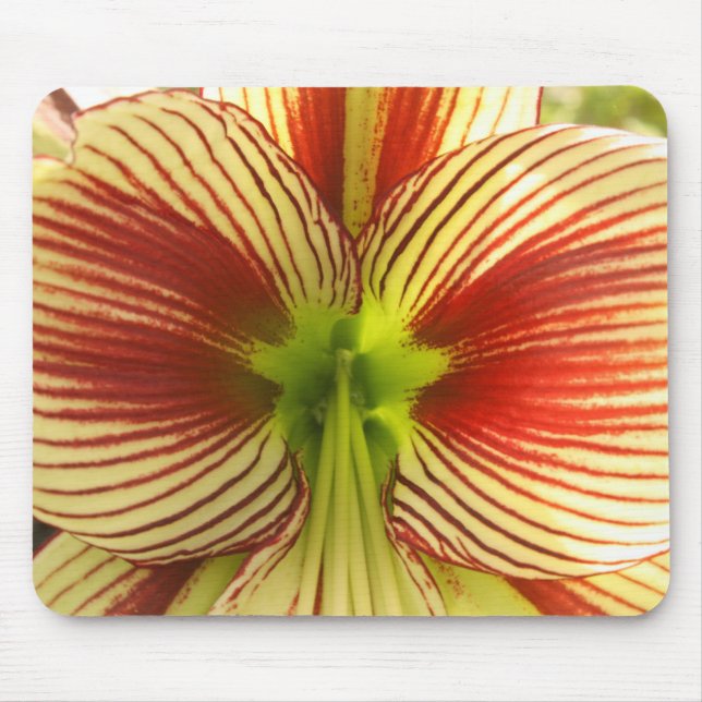 Tapis De Souris Papillon Amaryllis (Devant)