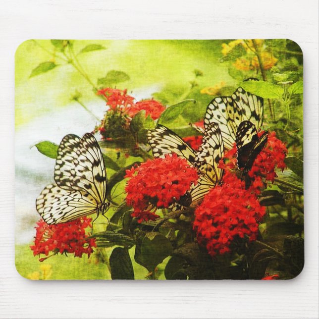 Tapis De Souris Papillon Art 28 Mousepads (Devant)